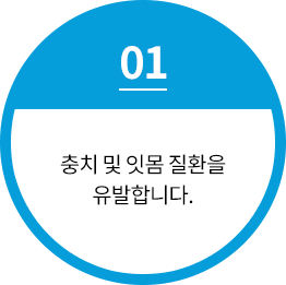 충치 및 잇몸 질환을 유발합니다.